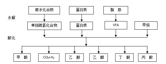 水解酸化分解图