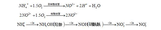 硝化反应